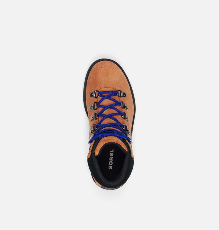 Sorel Barn Gummistövlar Brun/Svarta - Big Madson™ Hiker Waterproof - COY-642795